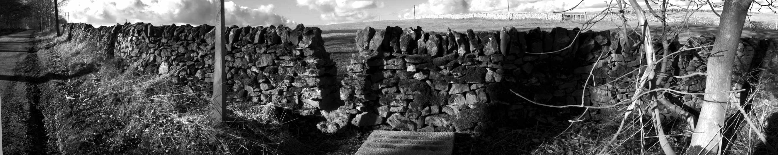 Panoramic view of the Cales Farm East site photographed by Rose Butler as part of the InscribeNOW residency