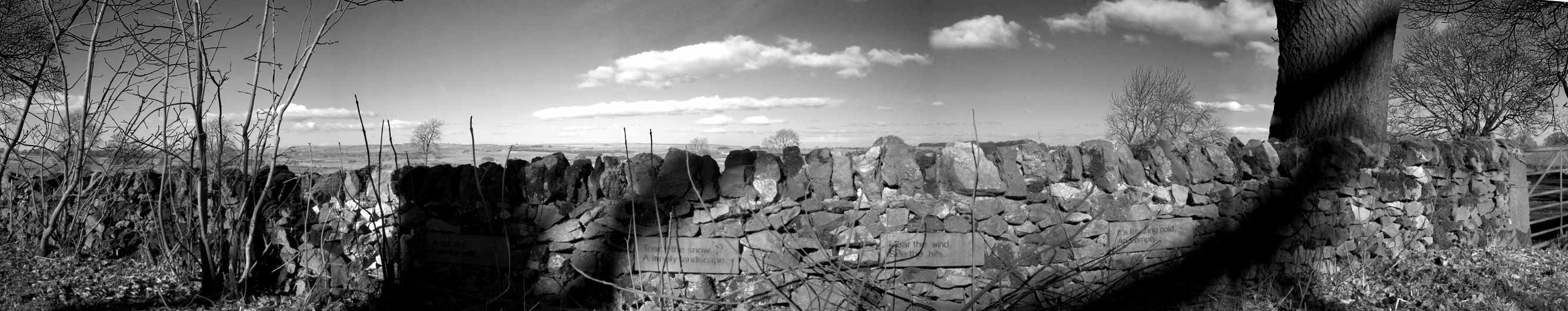 Panoramic view of the Long Rake site photographed by Rose Butler as part of the InscribeNOW residency