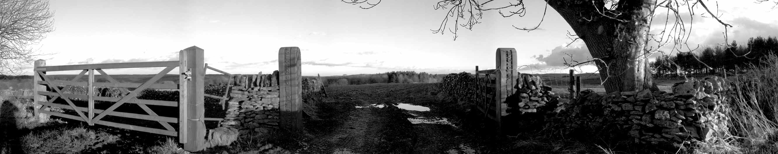 Panoramic view of the gateposts at Pen Close photographed by Rose Butler as part of the InscribeNOW residency