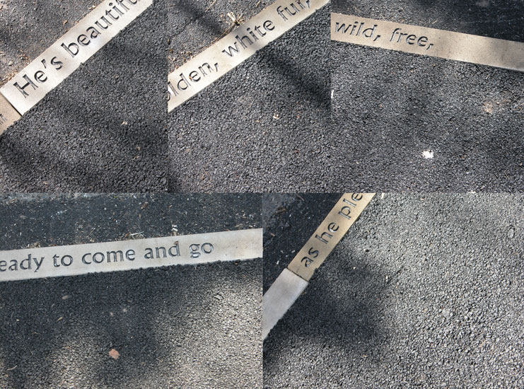 Walking past the cat poem