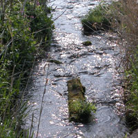 Running Water at Rowlow Brook