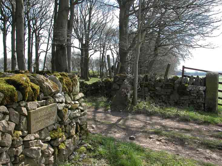 The view from Green Lane towards Derventio