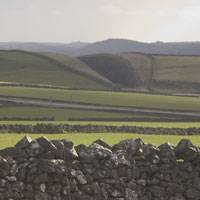 Parsley Hay cutting viewed from site 13