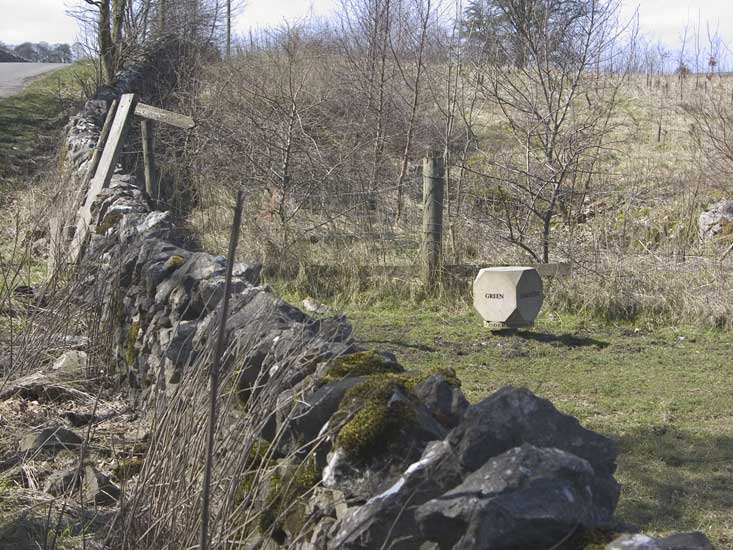 The Bugle Stone at site 14, Cales Farm West