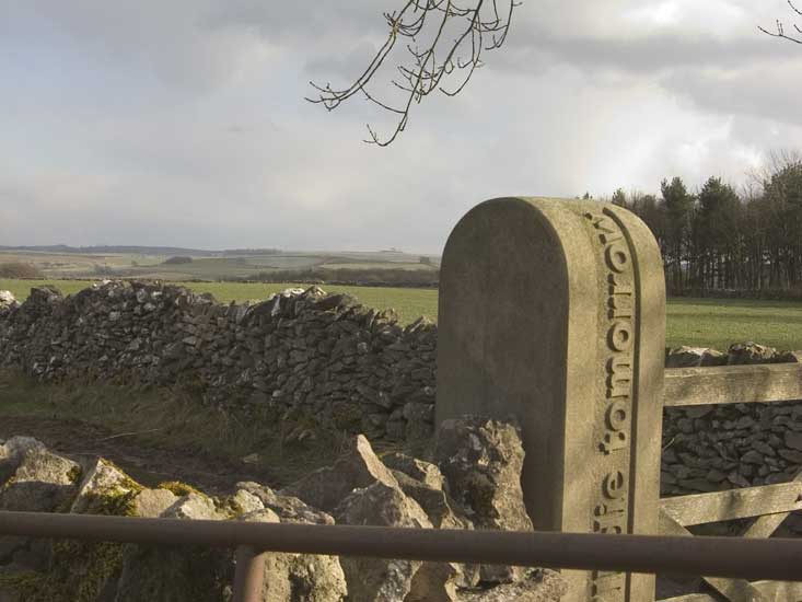 gate Posts at site 17